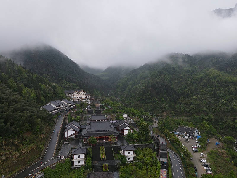 菠萝蜜免费观看视频